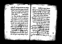 תנקיח אלאבחאת'.