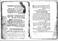 לקוטי רפואות.