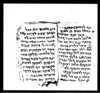 קרובה לחג שבועות.