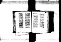 תורה, הפטרות ומגלות.
