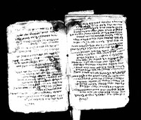 זבחי שלמים (קטעים).