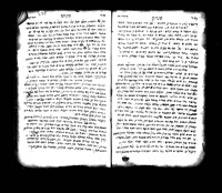 מר דרור.