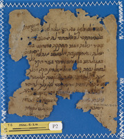 מקרא [טקסט]; פרשנות מקרא.