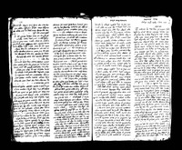הר צבי.