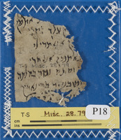 קטעים ממסמכי בית דין. פסטאט 1100-1138.