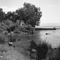 כנסיית הלחם והדגים בטבחה.