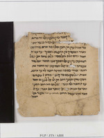 הלכה;הלכות הרי"ף;פירוש ר' יהונתן מלוניל לרי"ף;פירושי תלמוד בבלי;רי"ף ופרושיו.