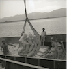 עובדי נמל פורקים שקי מלט מספינה שעוגנת במפרץ אילת – הספרייה הלאומית