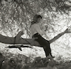 אשה נחה תחת צילו של עץ בטיול בהרי אילת – הספרייה הלאומית