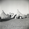 אוהלים במחנה הפליטים של מפוני יפו בכפר הערבי סומיל, לימים חלק ממרכז תל אביב.