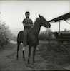 משפחת אבני בישוב הקהילתי שאר ישוב, קובי כרמי, בנו של הצלם, רוכב על הסוס של המשפחה.