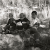 קובי כרמי, בנו של הצלם, עם חבריו קוטפים פטריות בטיול לבן שמן.