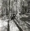 קובי כרמי, בנו של הצלם, עם חבריו קוטפים פטריות בטיול לבן שמן – הספרייה הלאומית
