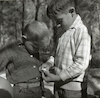 קובי כרמי, בנו של הצלם, עם חבריו קוטפים פטריות בטיול לבן שמן – הספרייה הלאומית