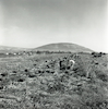 עבודות בשדות החקלאיים בעמק יזרעאל, מאחור הר תבור – הספרייה הלאומית