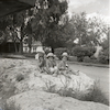 תינוקות על סלע בקיבוץ גבעת עוז – הספרייה הלאומית