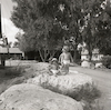 תינוקות על סלע בקיבוץ גבעת עוז – הספרייה הלאומית