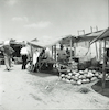 שוק ירקות במחנה הפליטים בעזה – הספרייה הלאומית