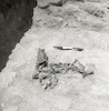 ממצאים שנתגלו בחפירות הארכיאולוגיות בתל שרע בניהולו של פרופ' אליעזר אורן.