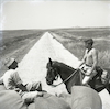 הנער רועי רוטברג על סוס באזור היאחזות הנח"ל נחל עוז – הספרייה הלאומית
