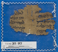 הלכה;תחום לא מזוהה.