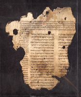 כתובים (תהלים כז-כח) : עם תרגום ארמי ופירוש רד"ק.