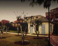 סרטון - 'Dance Made in Israel'.