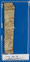 נושאים כספיים;פיוט.