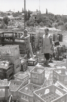 היישוב טמרה שבגליל – הספרייה הלאומית