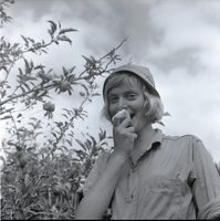 מתנדבים מדנמרק בקיבוץ.