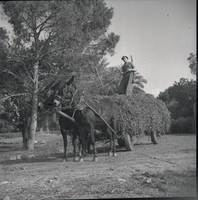 דגניה א' – הספרייה הלאומית