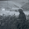 מושב אשתאול בפרוזדור ירושלים, אשה קוטפת פלפלים חריפים בחצר.