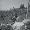 פורטרט של עולה ממוצא תימני עובד בשדה במושב אשתאול בפרוזדור ירושלים.