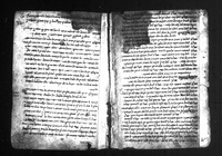 סגלות, רפואות, גורלות, לחשים, שאלות חלום, דמעות ואלכימיה.