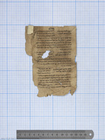 הלכות שחיטה ובדיקה בחרוזים עם פרוש.