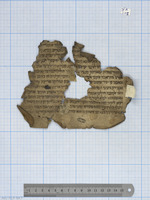 פרוש מלים נדירים בנביאים וכתובים (דניאל, יהושע) : ערבית יהודית.