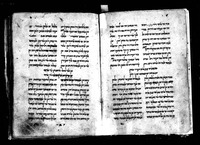 גלשן תוחיד.