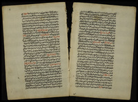 خصوصيات يوم الجمعة.