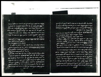 מגלה עפה.