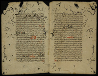 "كتاب المُزْهِر في علوم اللغة".