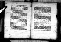בן פורת.