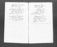 פרחי אביב.