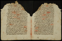 منهاج الدكان ودستور الاعيان في الطب : قطع منه.