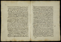 شرح الألفية في النحو.