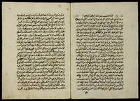 مجموعة مركبة من مخطوطات مشرقية مختلفة.