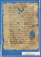 נספחות לחיבור;פילוסופיה.