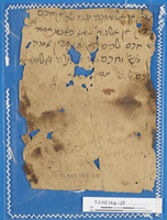 הלכה.