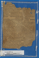 הלכה- ראשונים ואחרונים; ספרות הלכתית ופרשנות תלמודית; ספרות חז"ל.