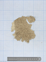 עץ חיים (קטע).
