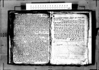 שושן סודות.